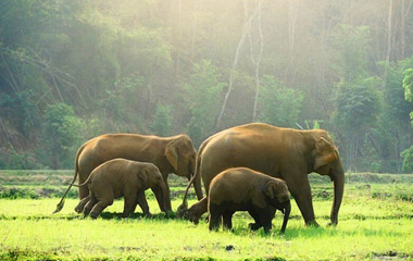 Periyar, Kerala